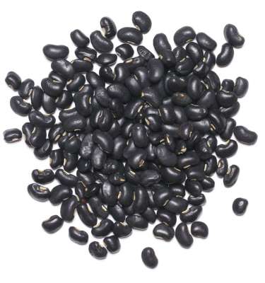 Black Beans