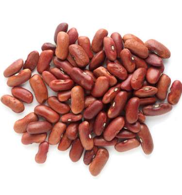 Light Red Kidney Beans