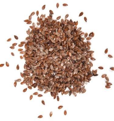 Flax Seeds