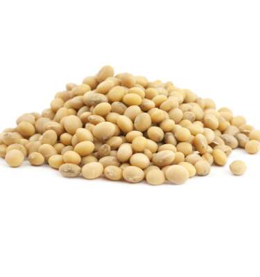 Soybeans 