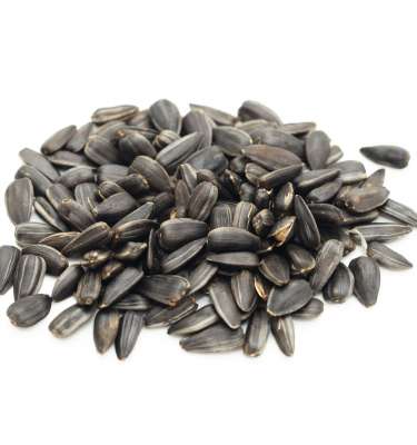 Sunflower Seeds